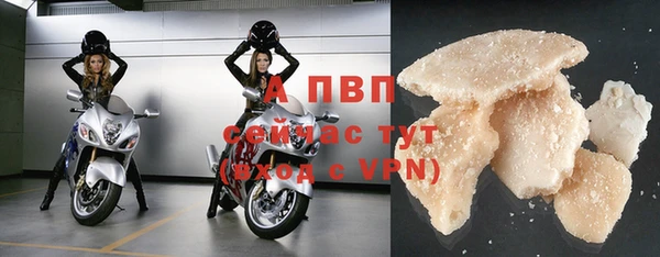 стафф Кодинск