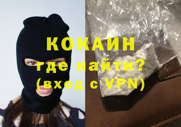 стафф Кодинск